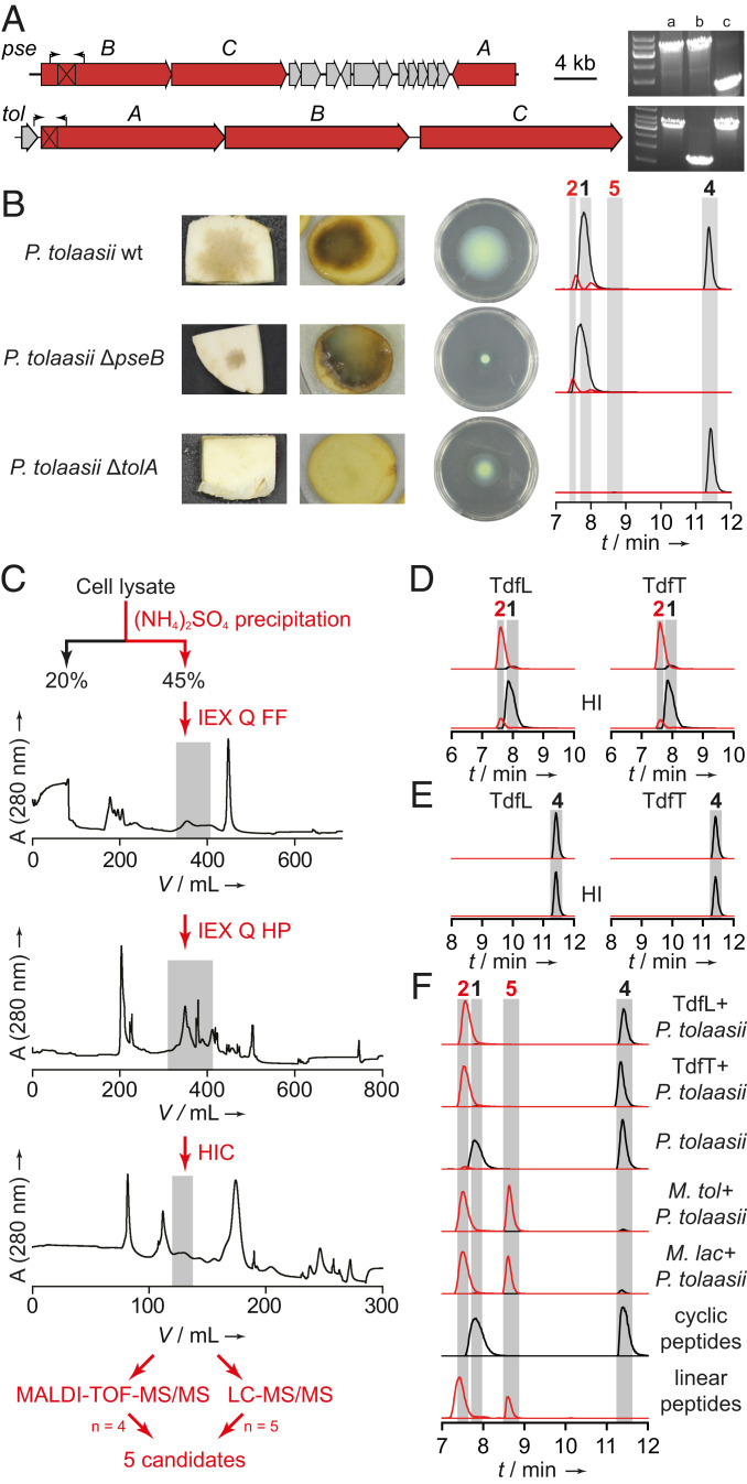 Fig. 4.