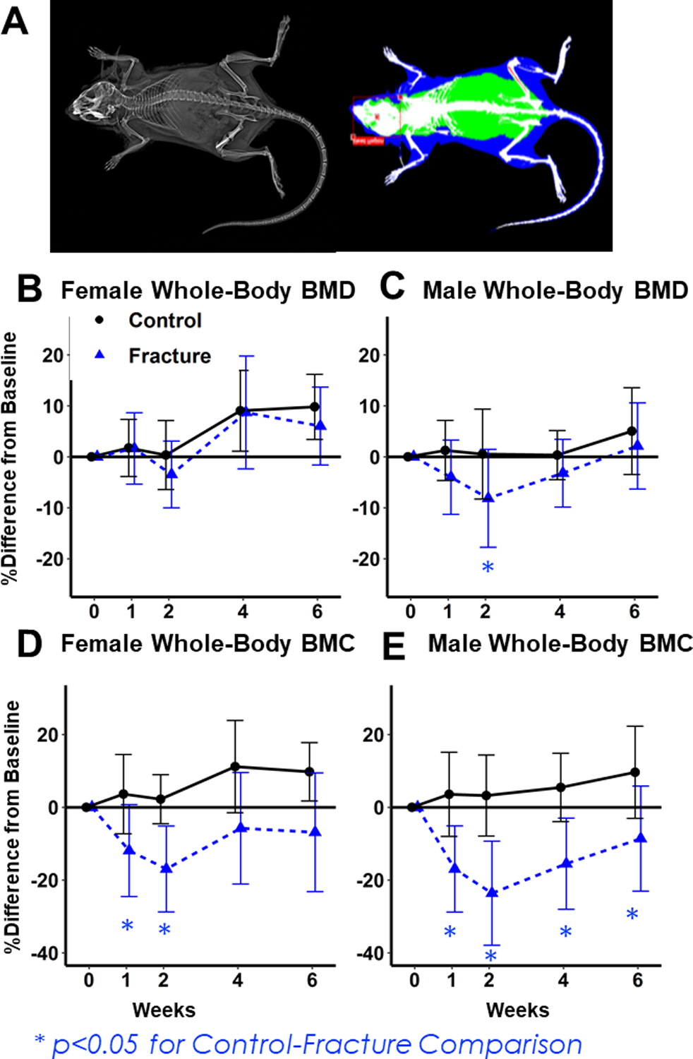 Figure 1: