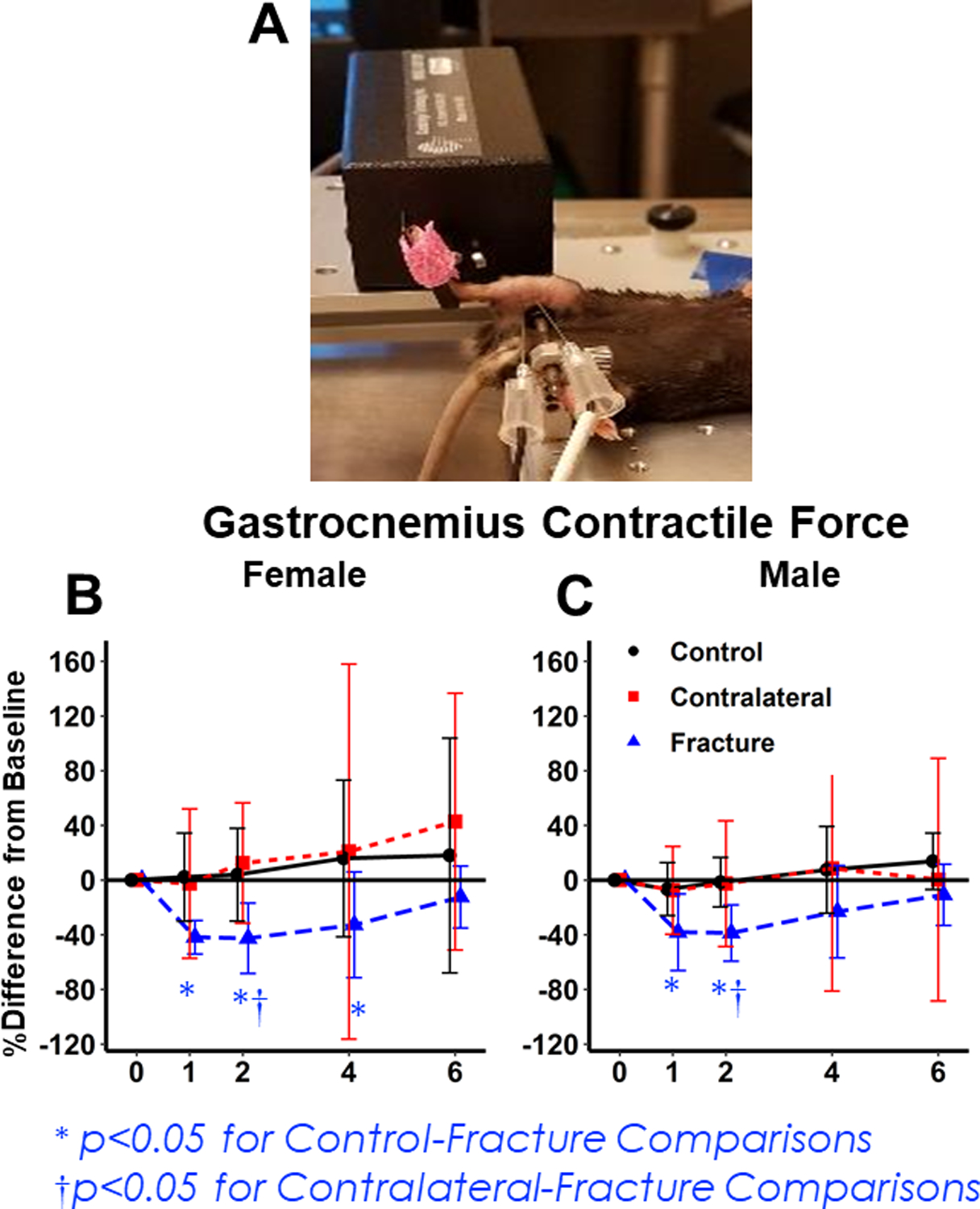 Figure 5: