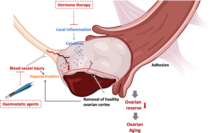 Figure 1