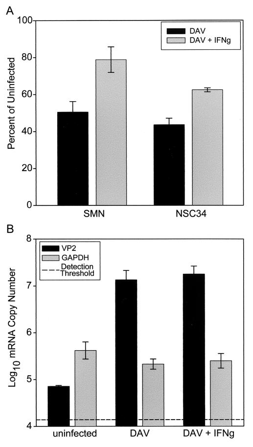 FIG. 9.