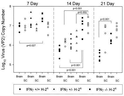 FIG. 6.