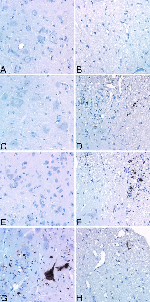 FIG. 8.