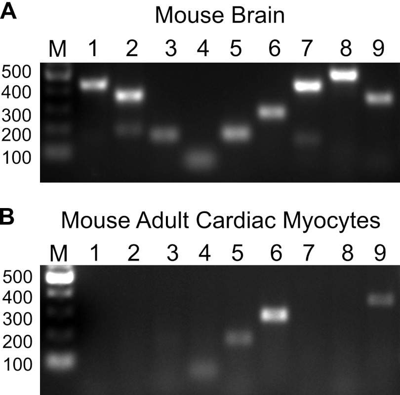 FIGURE 5.