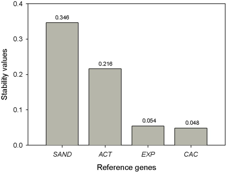 FIGURE 4