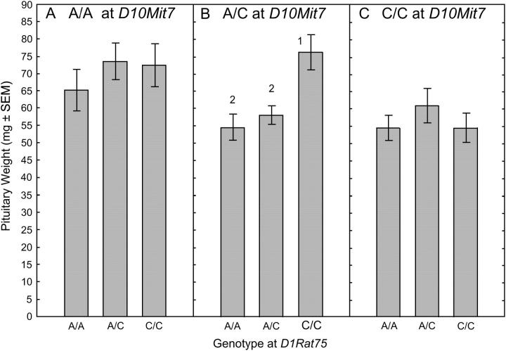 Figure 3.—