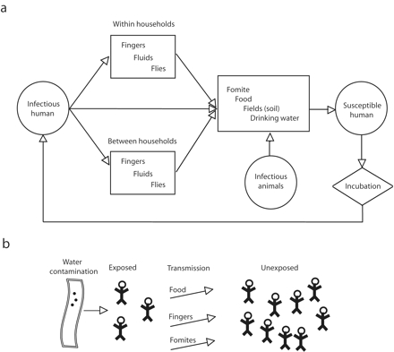 FIGURE 1—