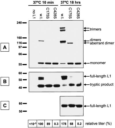 FIG. 7.