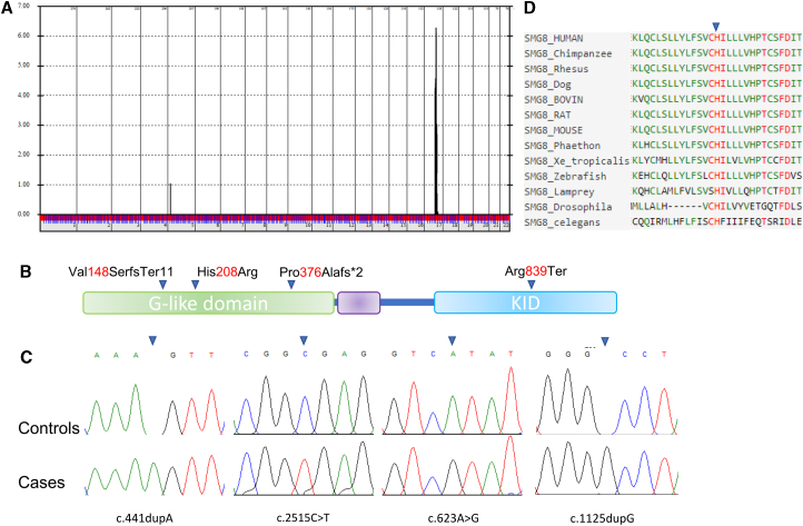 Figure 2