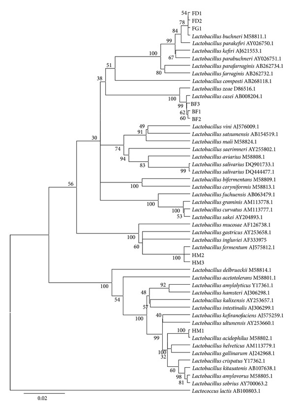 Figure 1