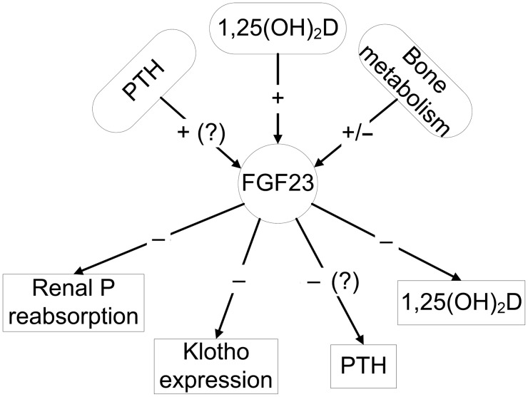 FIGURE 1: