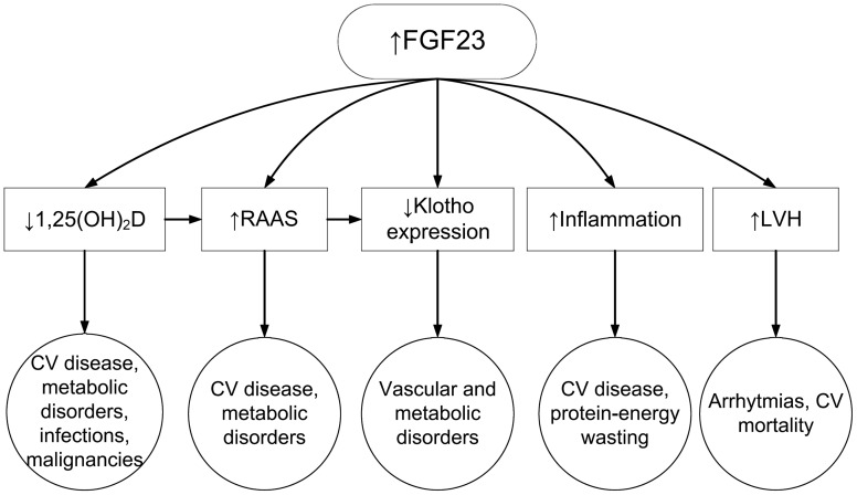 FIGURE 2: