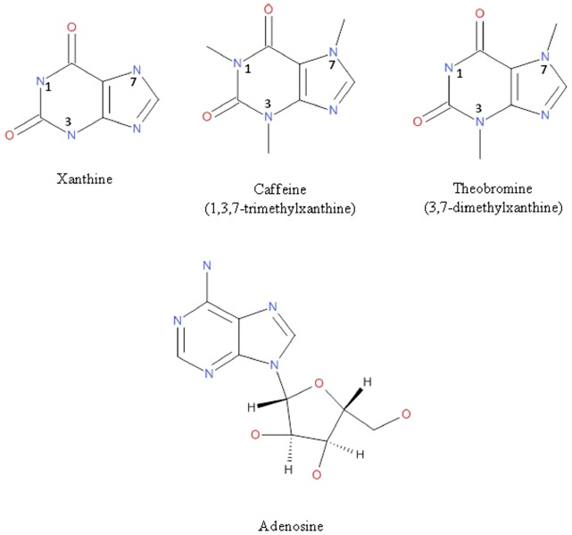 FIGURE 1