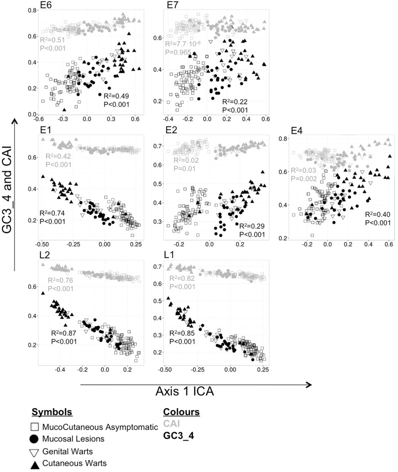 Fig. 7.—