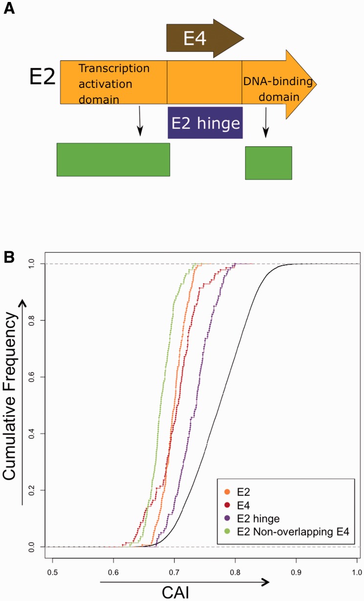 Fig. 3.—