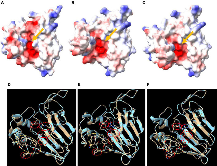 FIGURE 4