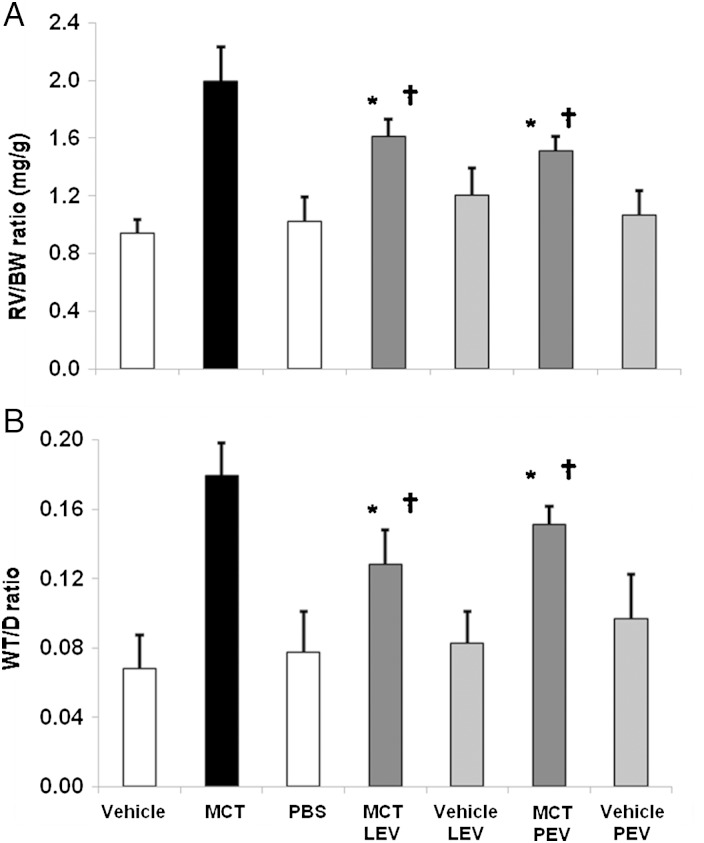 Figure 6