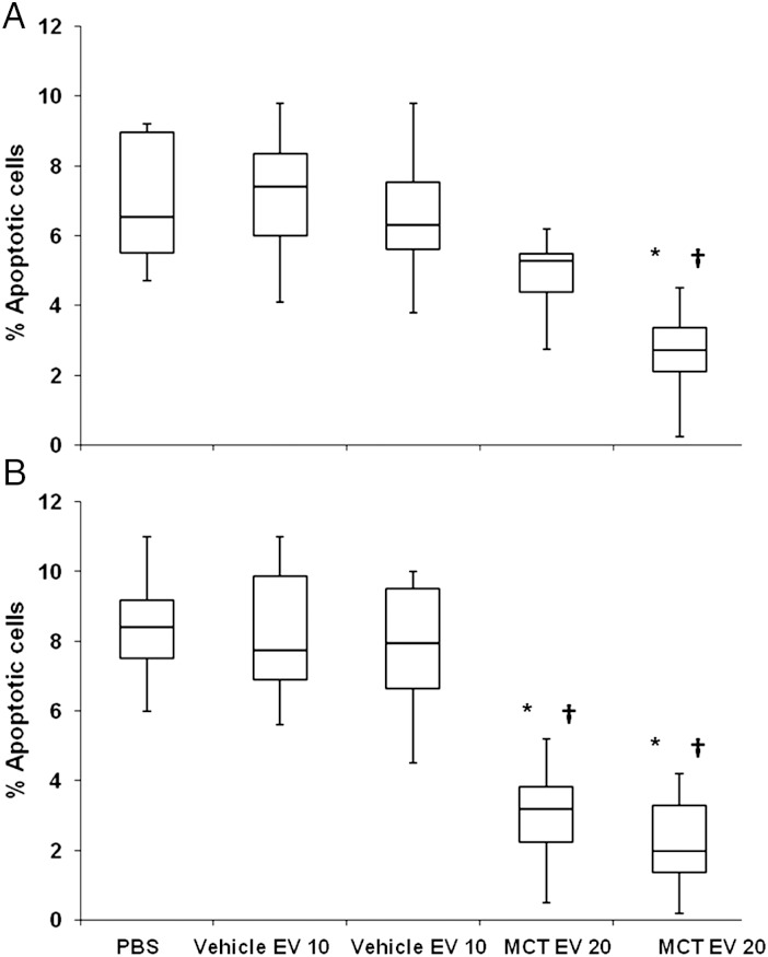 Figure 5