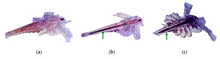 Figure 27