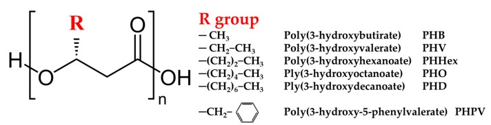 Figure 24