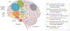 Fig. 4 |