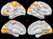 Fig. 1.