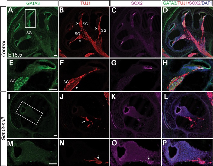 Figure 6.