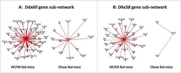 Fig 8