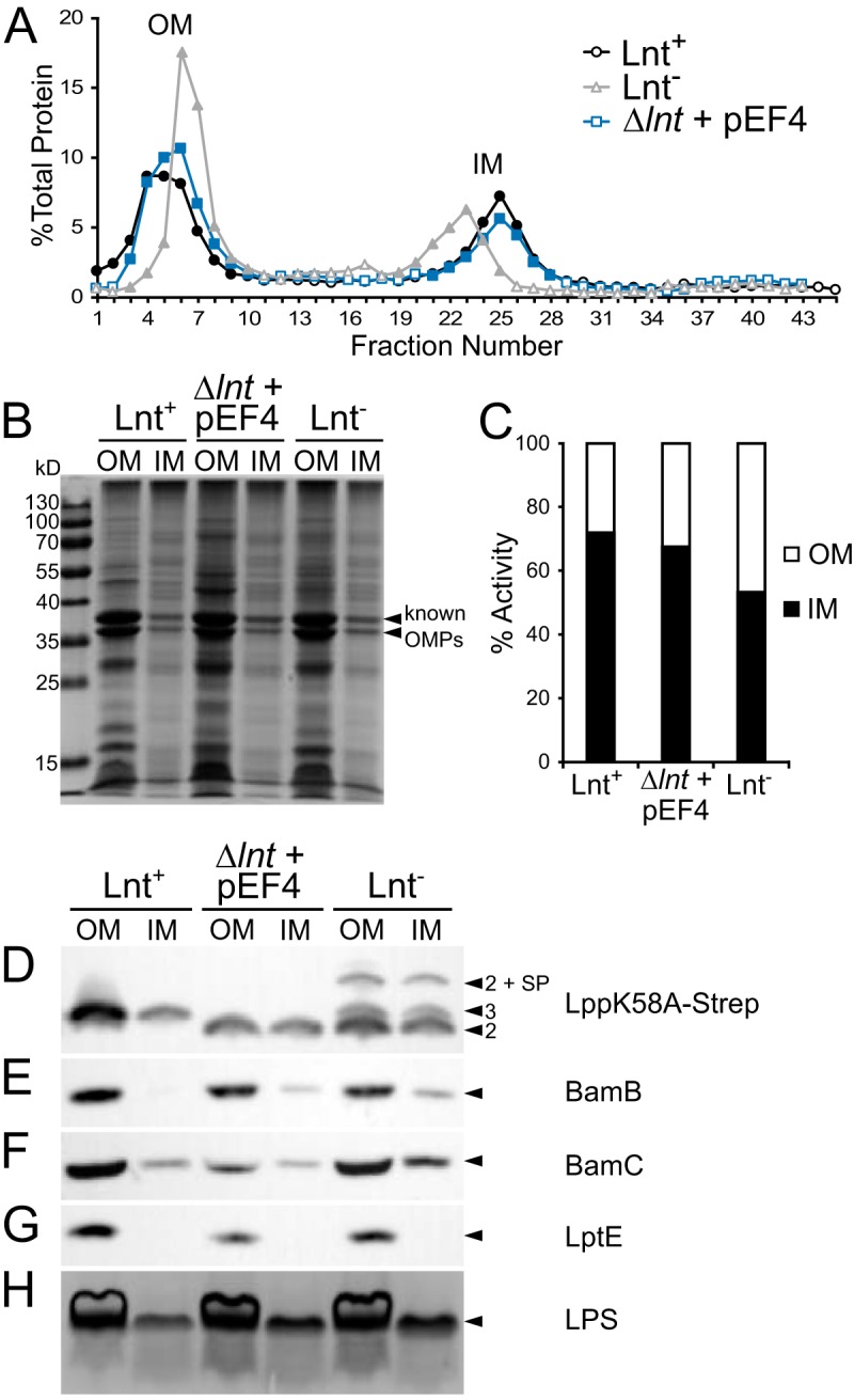 FIG 4