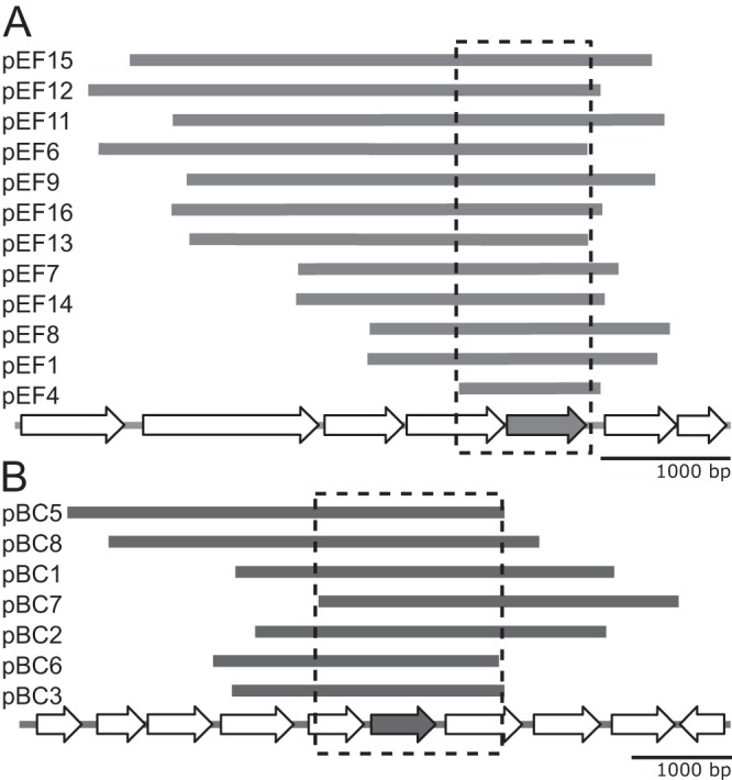 FIG 2