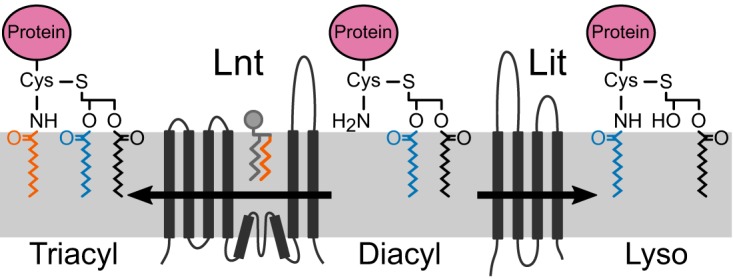 FIG 8