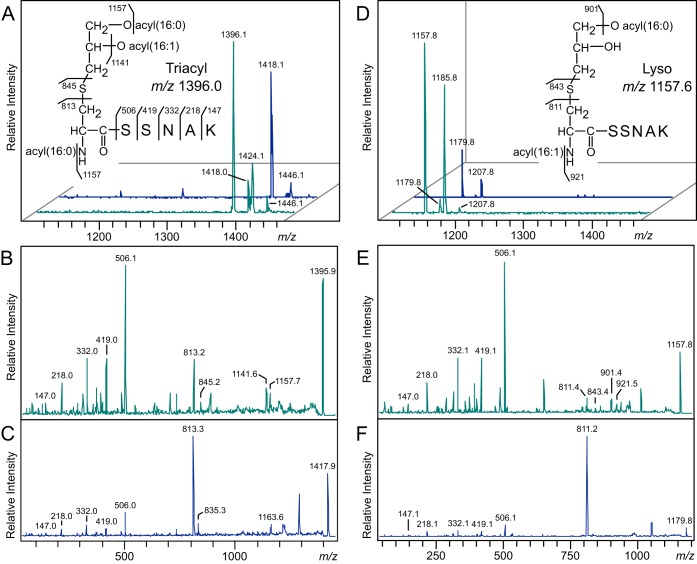 FIG 6