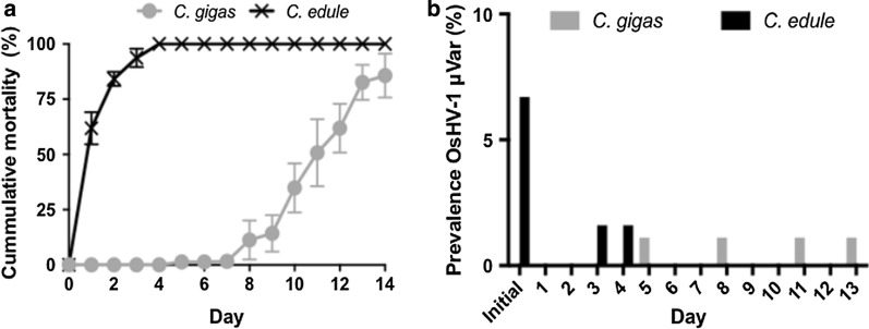 Fig. 6