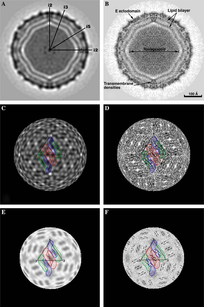 Fig. 6