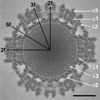 Fig. 8