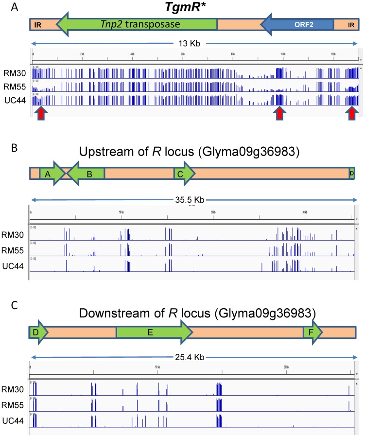 Figure 10