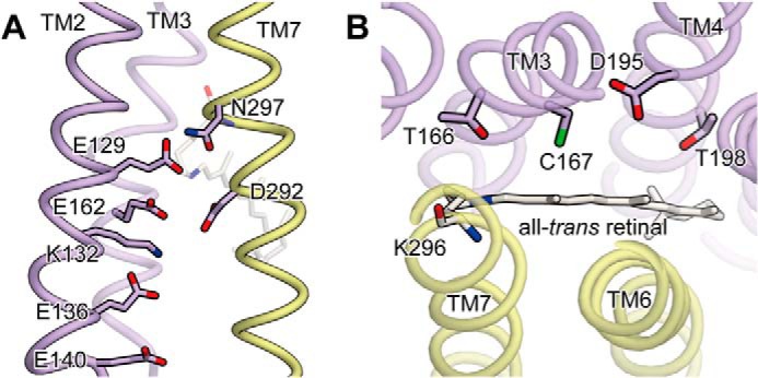 FIGURE 10.