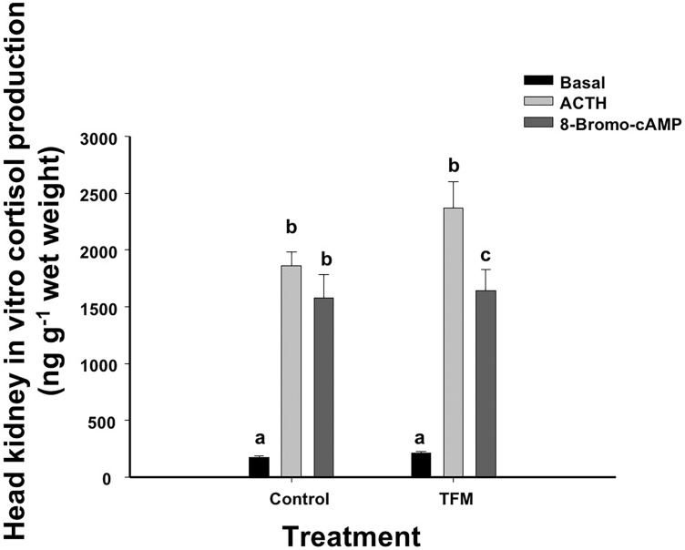 Fig 5