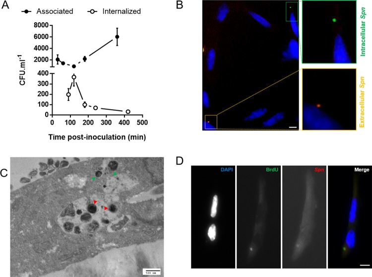 FIG 2