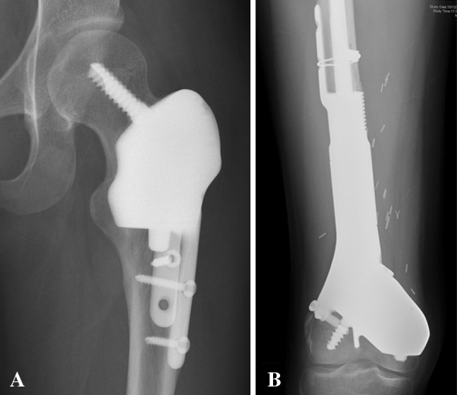 Fig. 8A–B