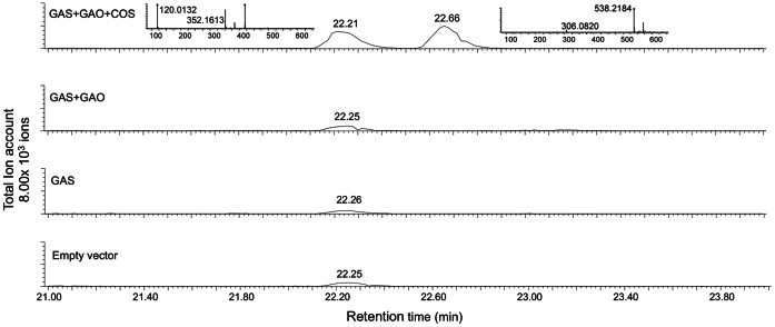 Figure 9