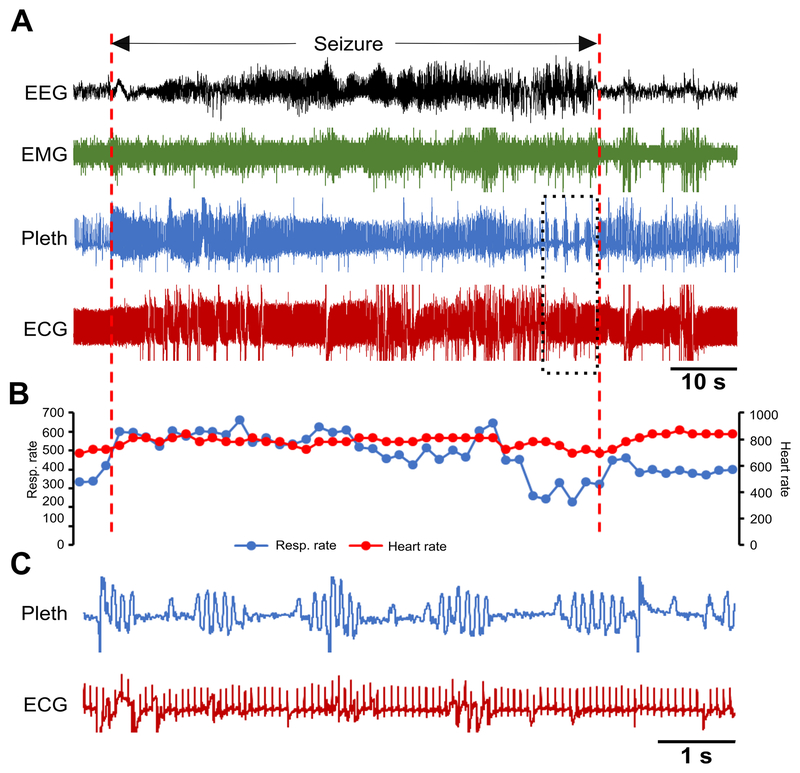 Figure 6.