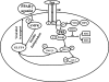 Fig. 2.
