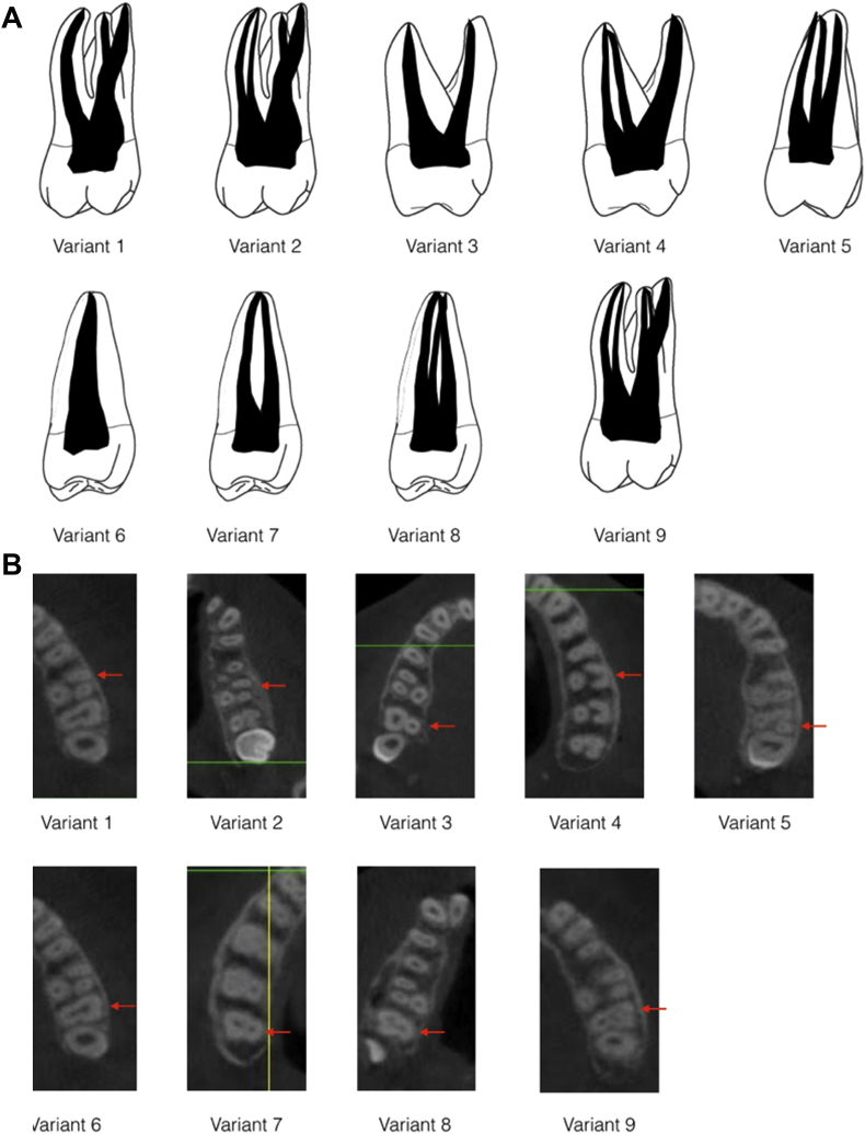 Fig. 2