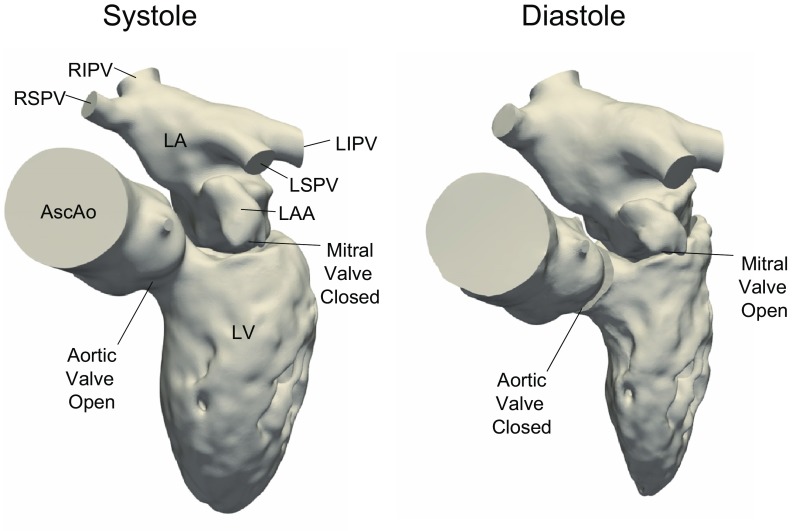 Figure 1