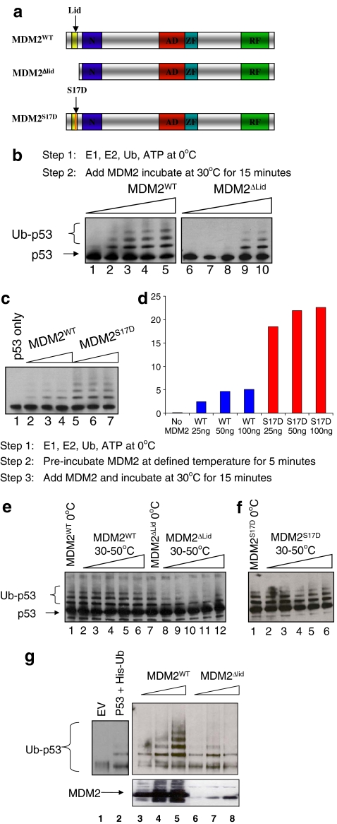 Fig. 3