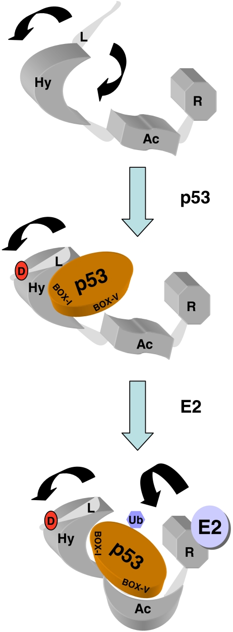 Fig. 10