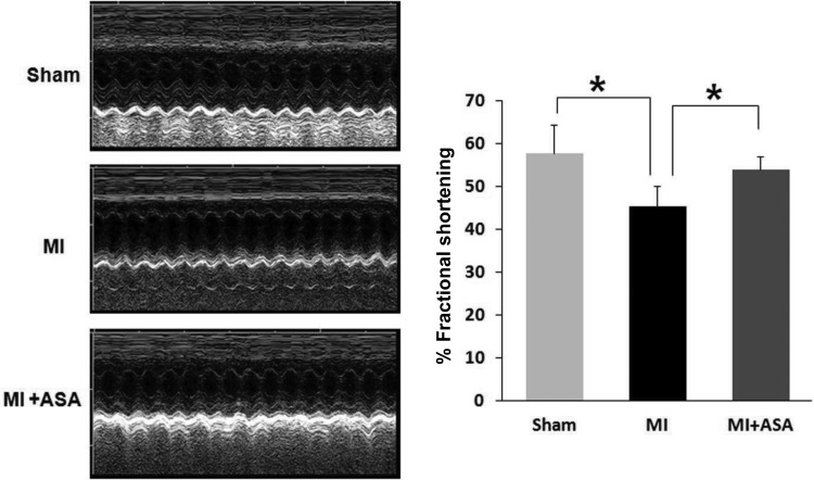 Figure 5