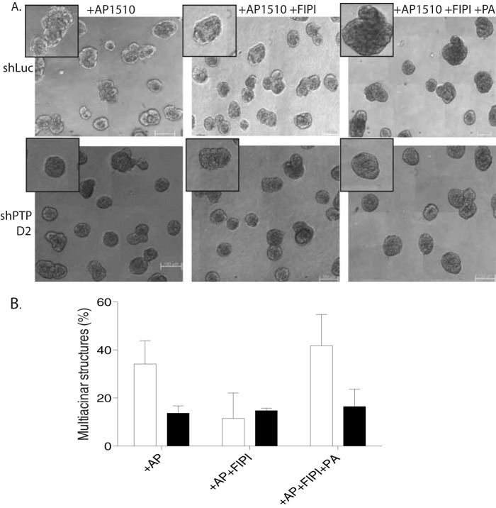 FIGURE 10.