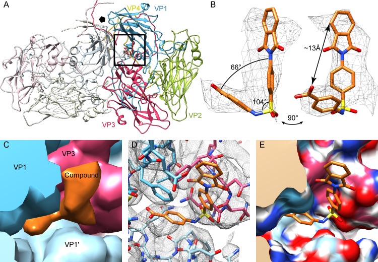 Fig 2